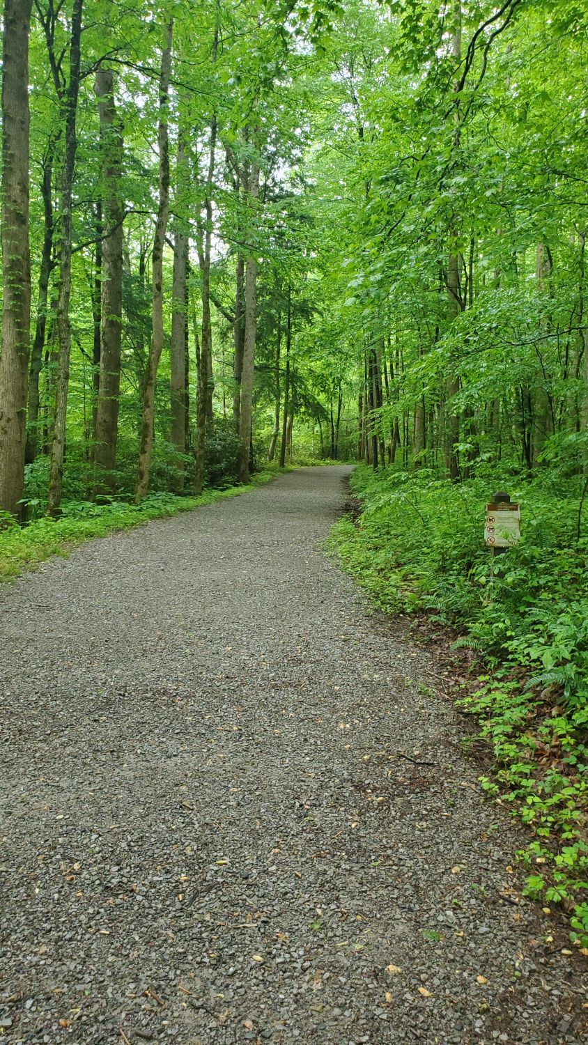 Porters Creek to Fern Falls 